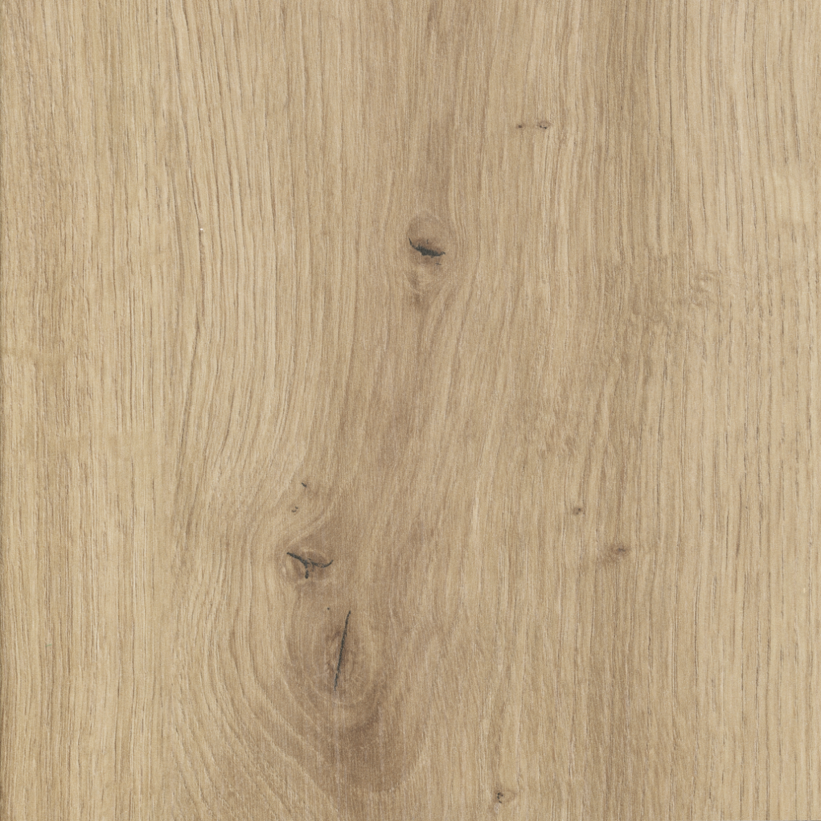 D4225 OV Ąžuolas Artisan (šakotas)