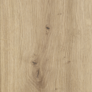D4225 OV Ąžuolas Artisan (šakotas)