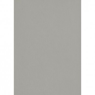 F765 ST20 - Brushed Silvergrey F765 ST20 - Brushed Silvergrey