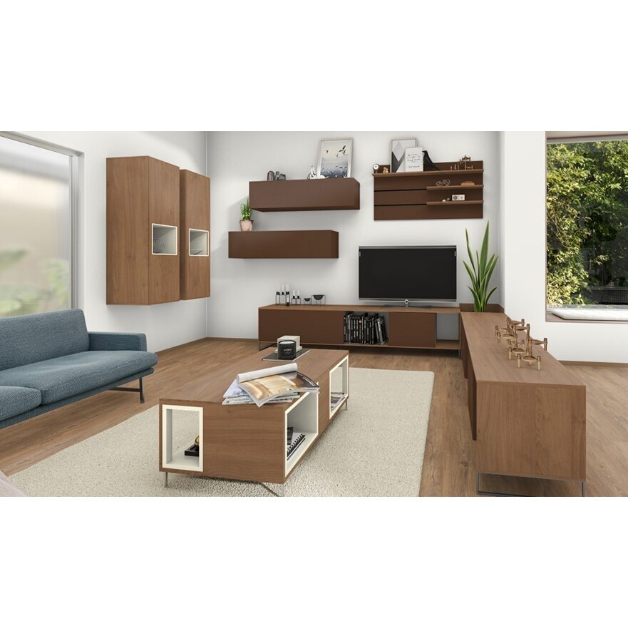 H3398 ST12 - Ąžuolas, Kendal, konjako sp. (šakotas) 2 H3398 ST12 - Ąžuolas, Kendal, konjako sp. (šakotas) 2