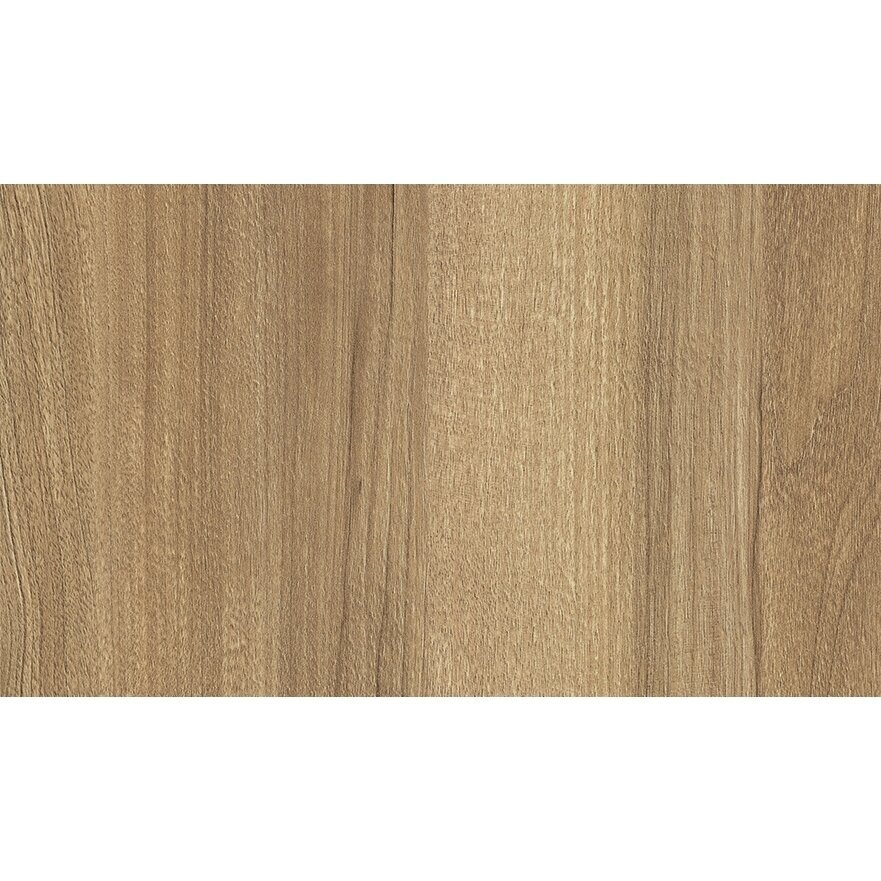 H3700 ST10 - Riešutas, Pacific, natūralus (šakotas) H3700 ST10 - Riešutas, Pacific, natūralus (šakotas)