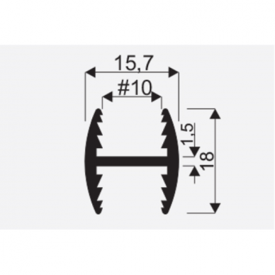 INTARPAS H10 (LENKTAS) 3