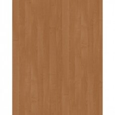 LMDP ALDER, 1912BS