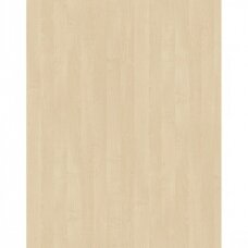 LMDP BIRCH, 1715BS