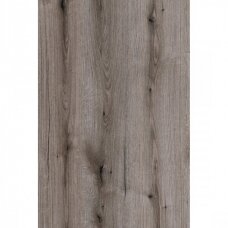 LMDP FOSSIL EVOKE OAK, K366PW LMDP FOSSIL EVOKE OAK, K366PW