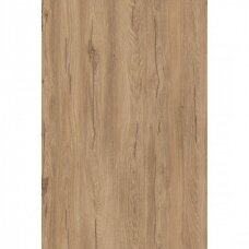 LMDP HAZEL SILVERJACK OAK, K544RW