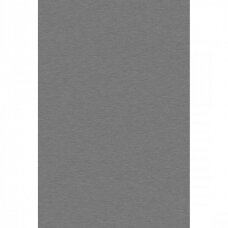 LMDP PLATINIUM DISK, K523PE