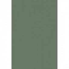 LMDP SMOKE GREEN, K521SU