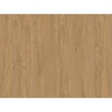 LMDP STONE OAK, 5527SN