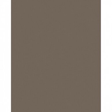 LMDP LATTE, 7166BS