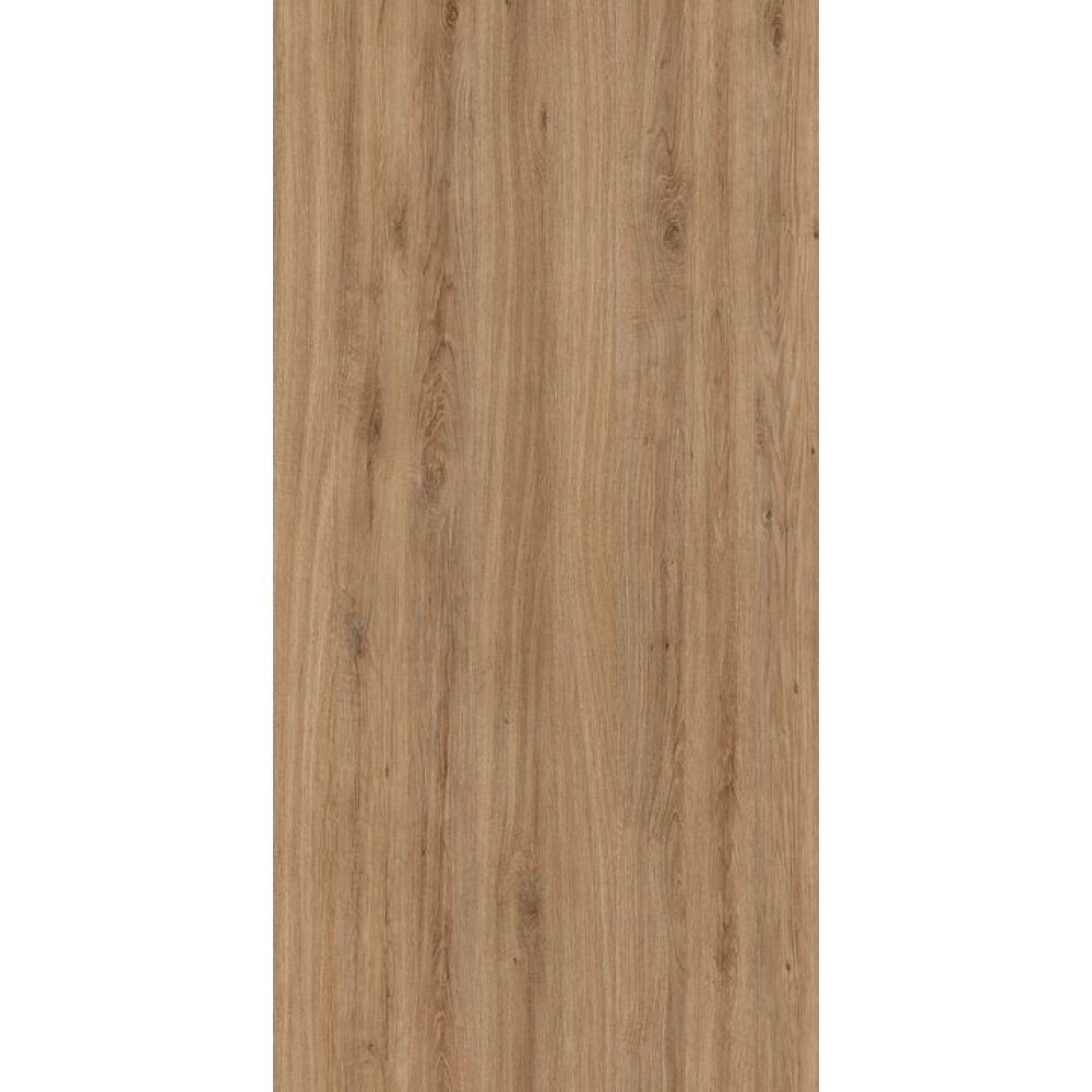 R20038LN ĄŽUOLAS LAUKINIS 1