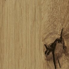 R20315NW ĄŽUOLAS ARTISAN