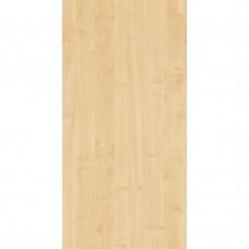 R27001VV KLEVAS
