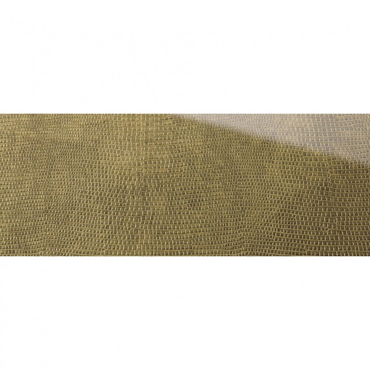 SG LEGUAN Gold AR+ 5 SG LEGUAN Gold AR+ 5