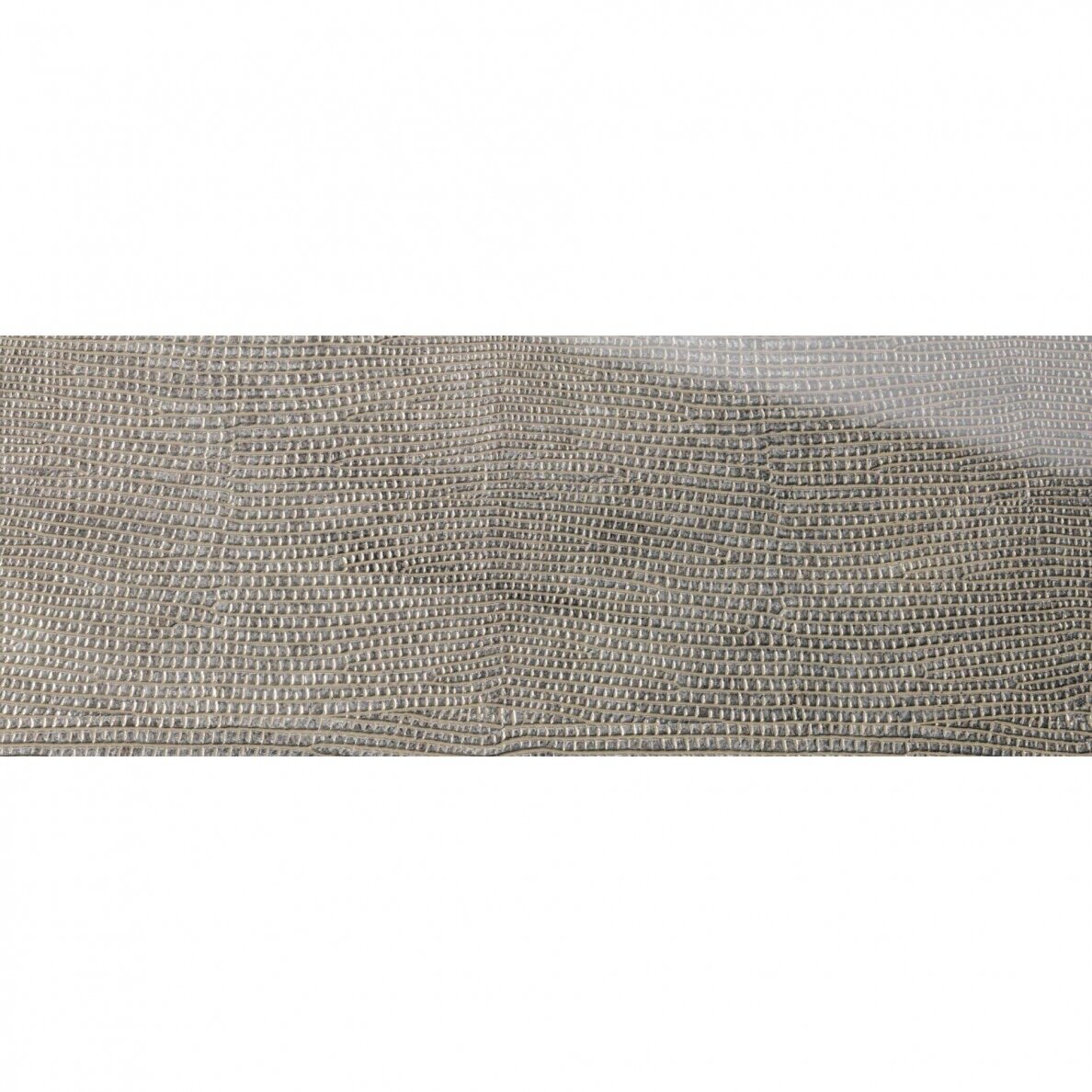 SG LEGUAN Silver AR+ 5