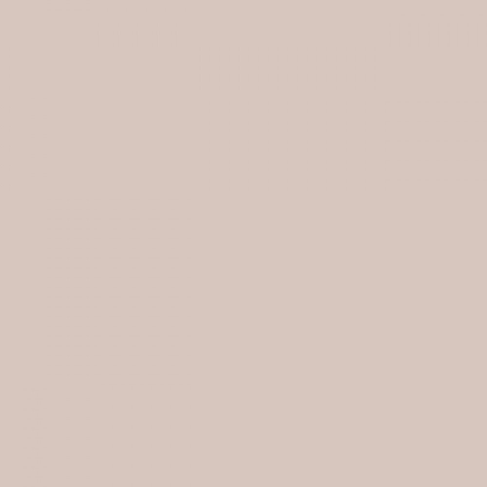 U16037SD ROŽINĖ RUSVA